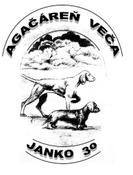 Logo CHS